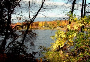 Lake Carmel Foliage 1004 - 15 crpadj